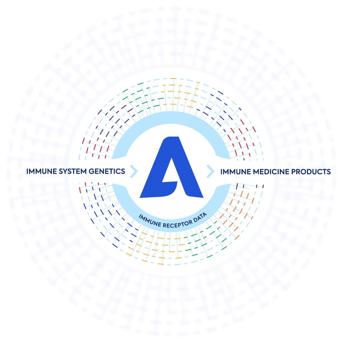 Diagram showing Adaptive's Immune Receptor Data