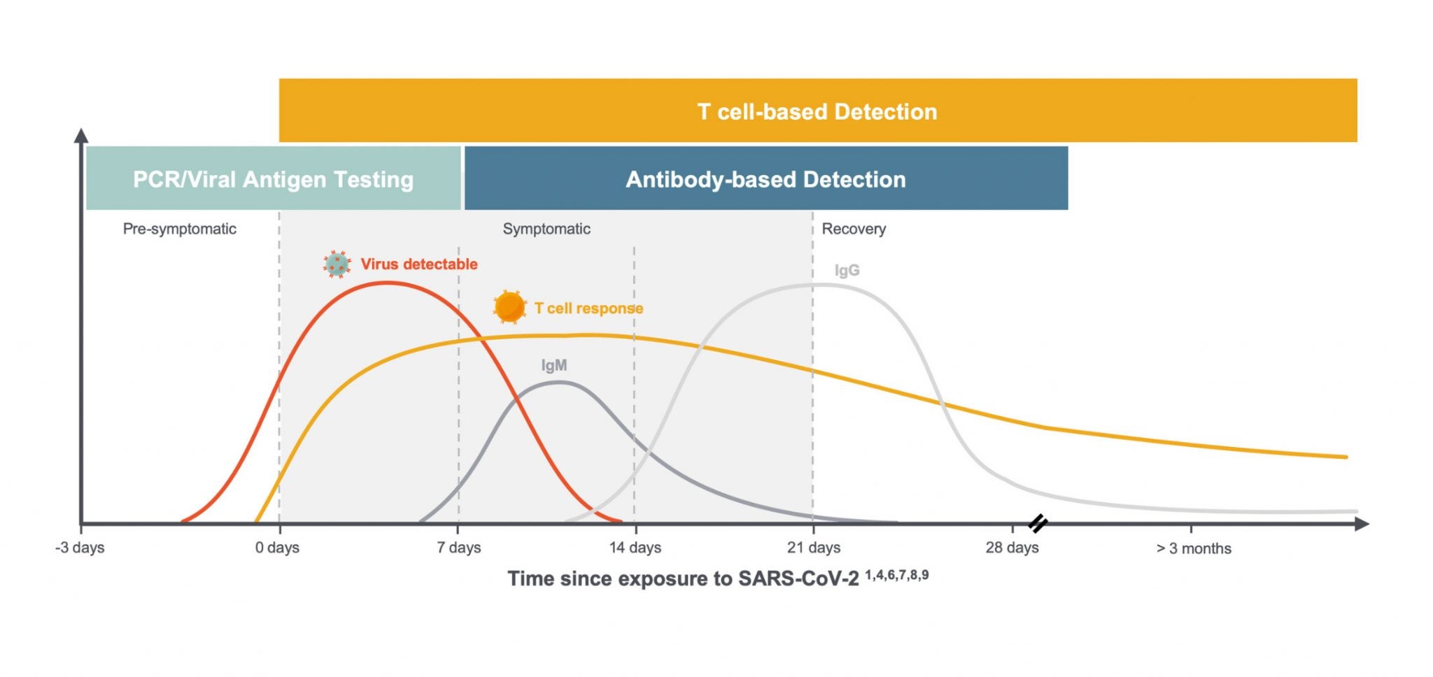 Graph showing antibody based detection versus T cell based detection