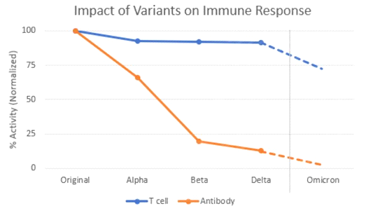 Chart showing different impact of variants on immune response comparing T cells and Antibodies